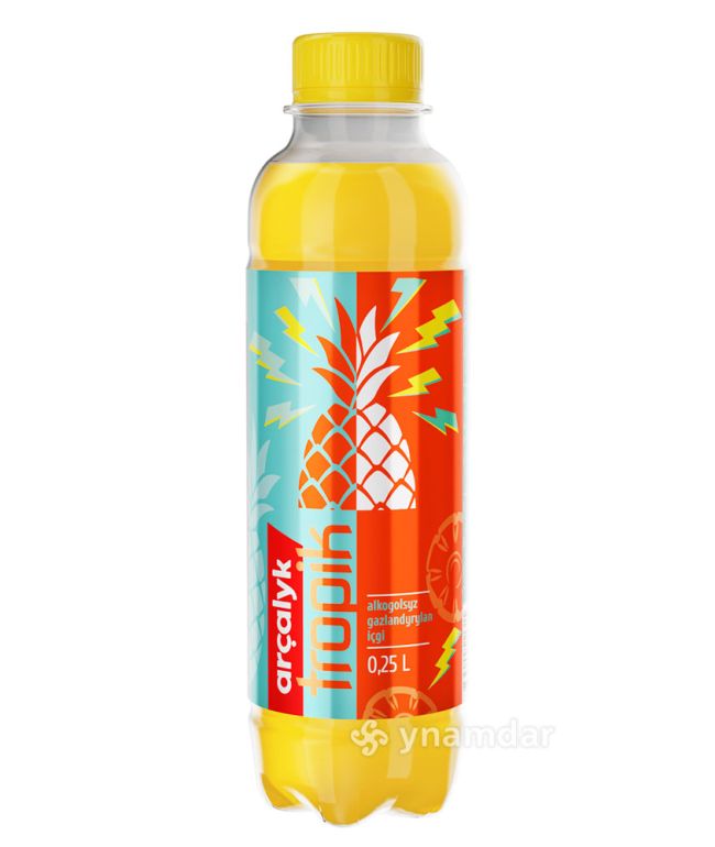 https://azyksowda.com.tm/assets/product/arcalyk-tropik-025-l-20-02-2024-15-59-18/zBCiDKjLMR-650x770.jpg