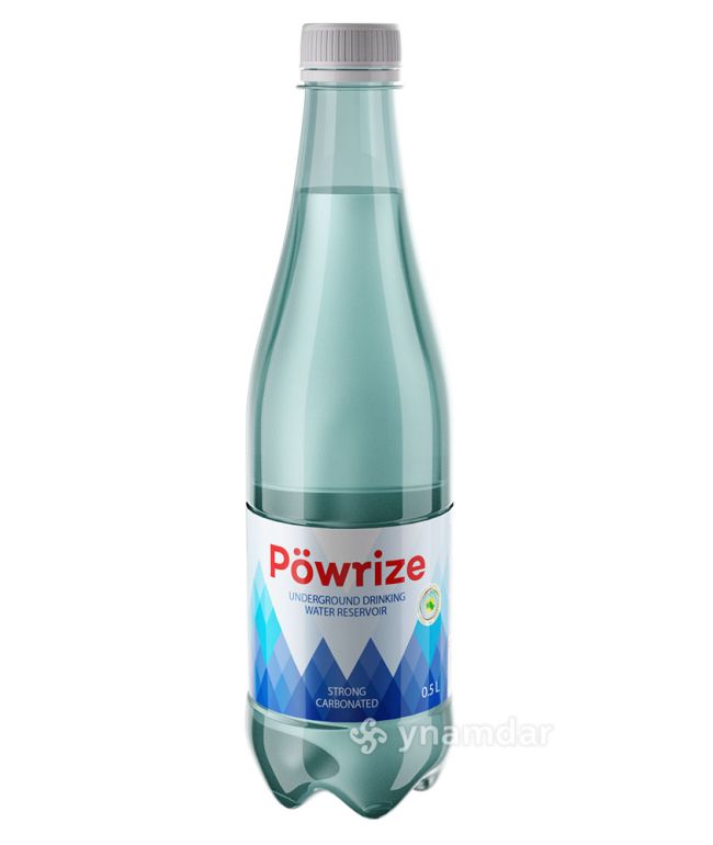 https://azyksowda.com.tm/assets/product/powrize-05l-20-05-2025-17-10-50-updated/Jlby6xqlTV-650x770.jpg
